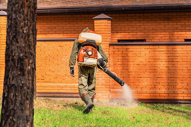 Top rated local Wasp Removal specialists in The Village, OK